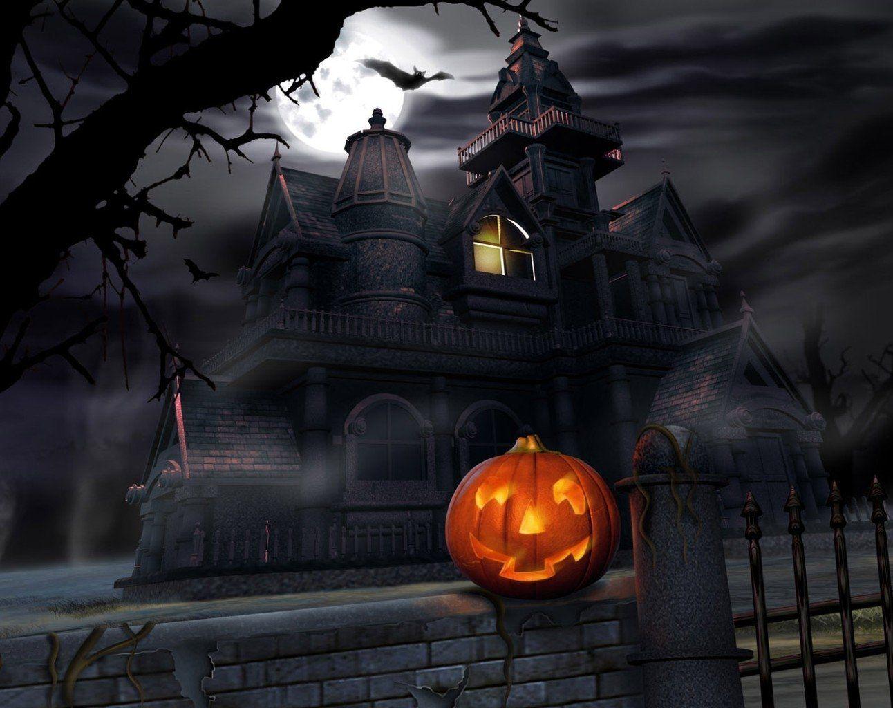1292x1024 Bat HD Wallpaper and Background Image
