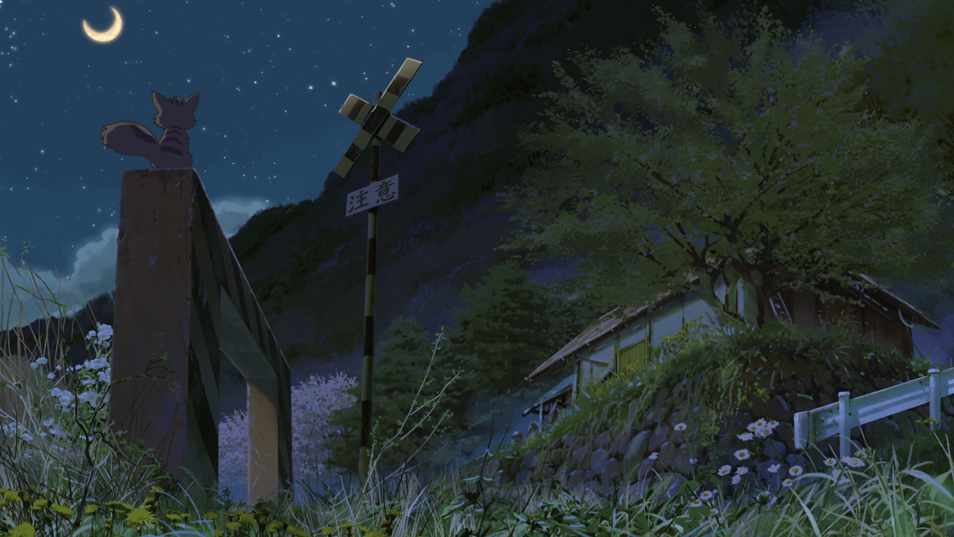 1920x1080 Children Who Chase Lost Voices