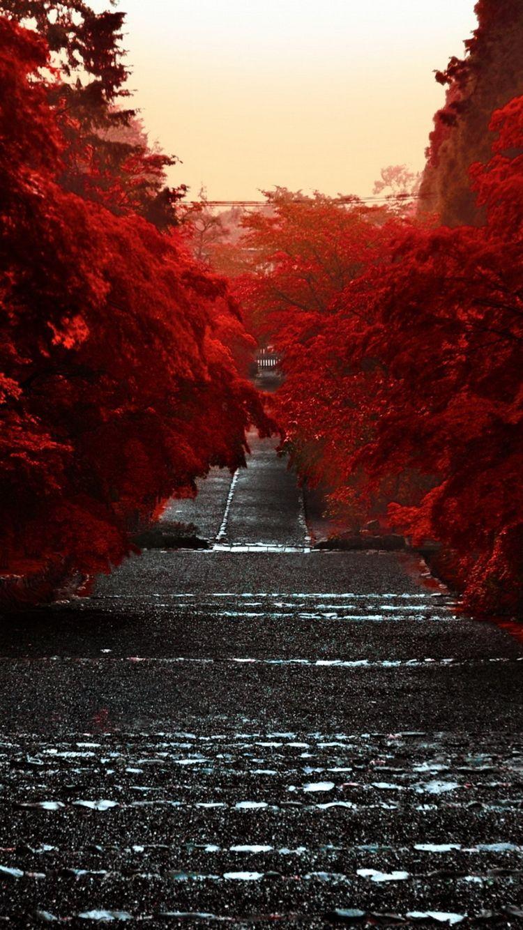 750x1334 Japan Honshu Island iPhone 6 Wallpaper HD