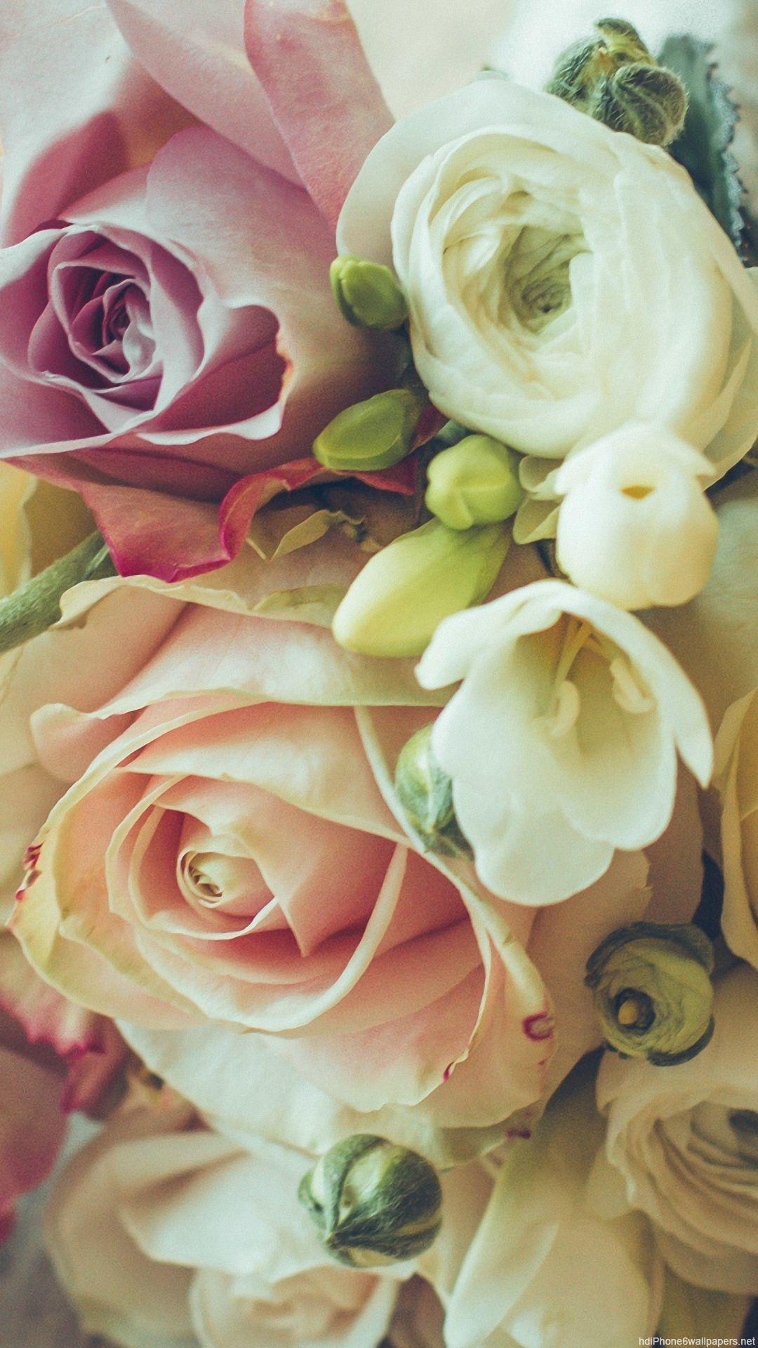 1080x1920 Rose Wallpaper IPhone