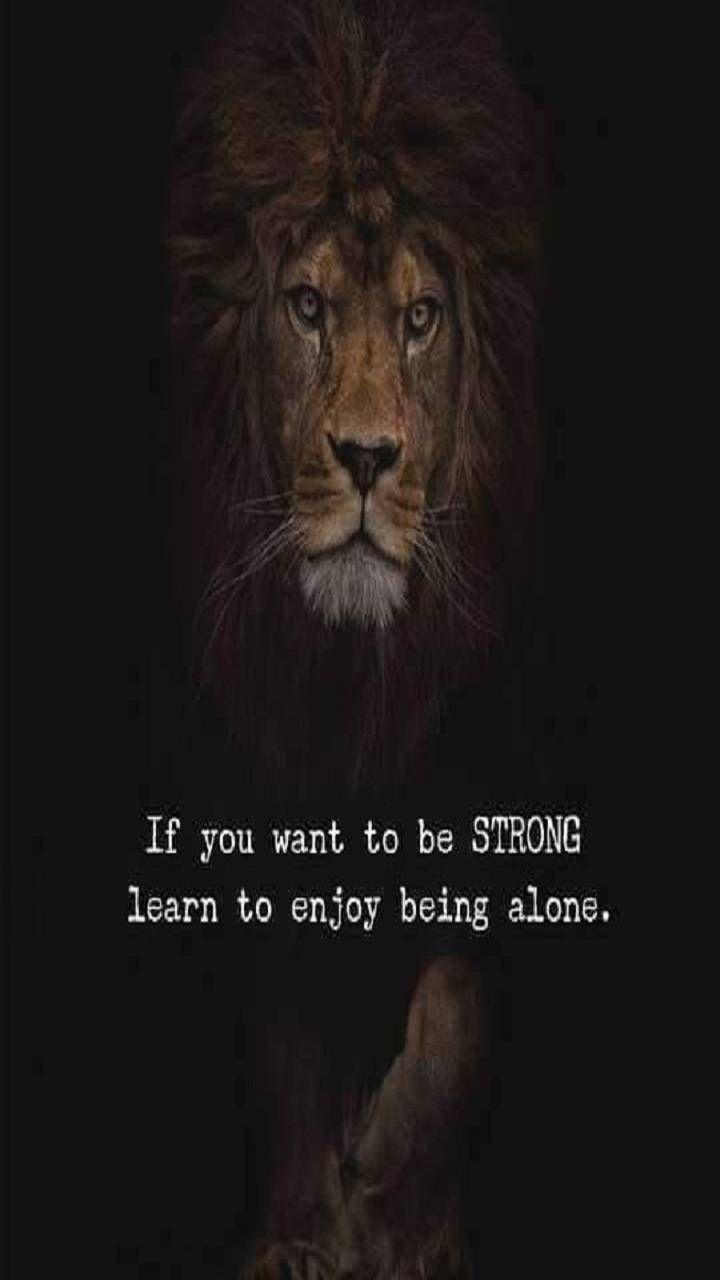 Strong Lion Wallpapers - Top Free Strong Lion Backgrounds - WallpaperAccess