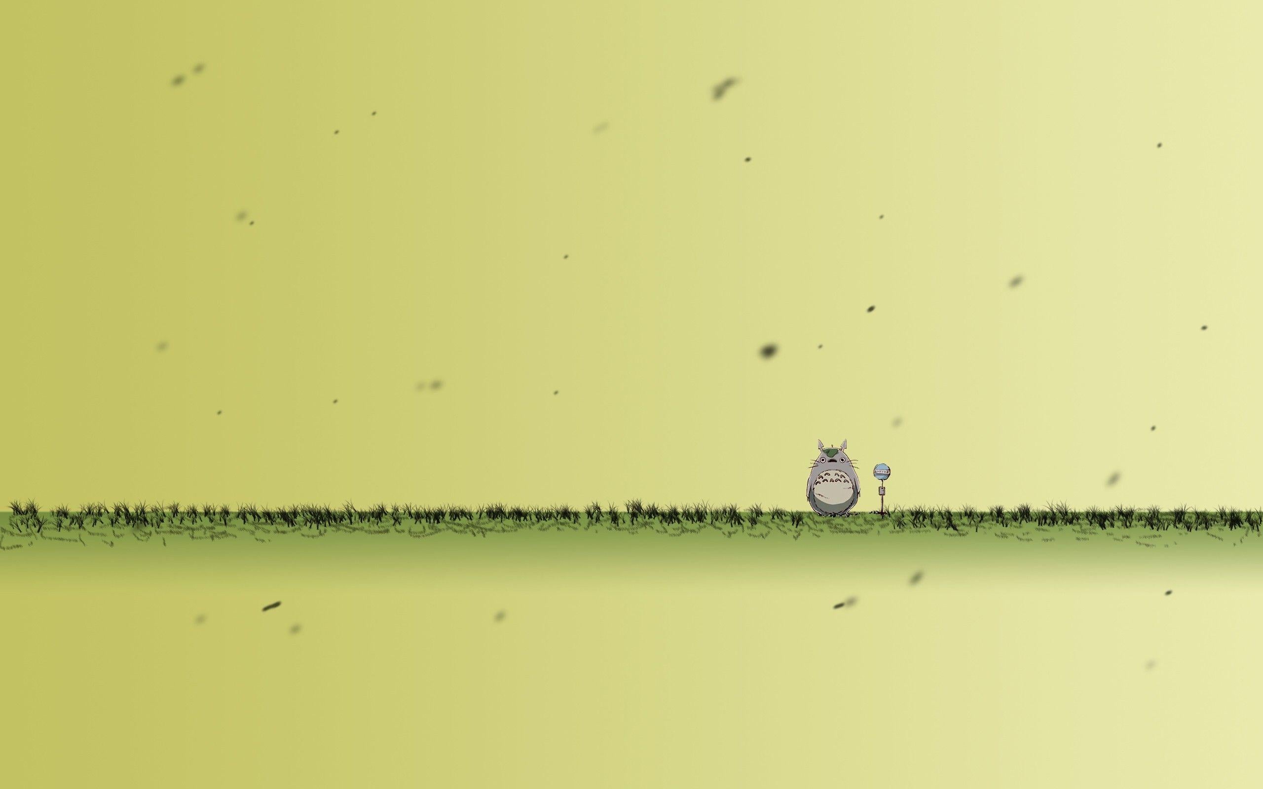 2560x1600 Totoro Background