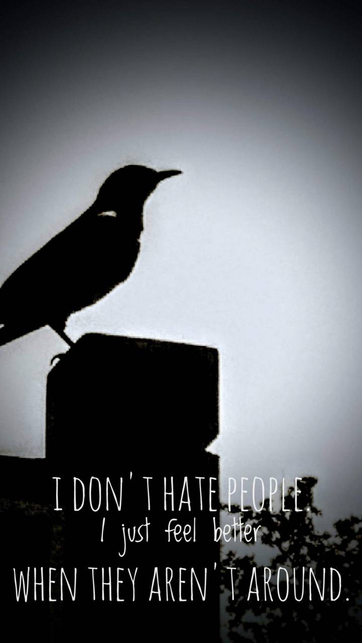720x1280 Dark crow wallpaper