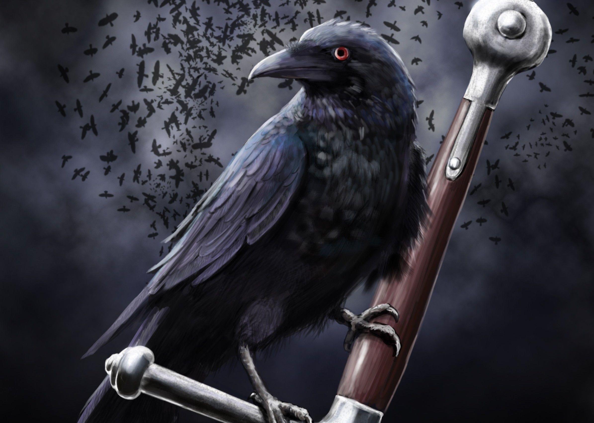 2390x1705 Dark, Crow, Fantasy, Raven, Quotes, Clouds, art, Death, Sword Leather, Weapons, Vector, Weapon, Swords, Background Image