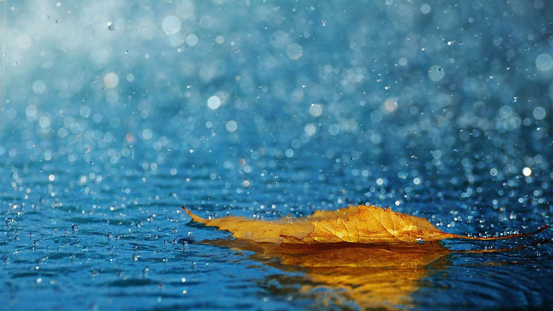 1920x1080 Cool Collection Of Desktop Wallpaper