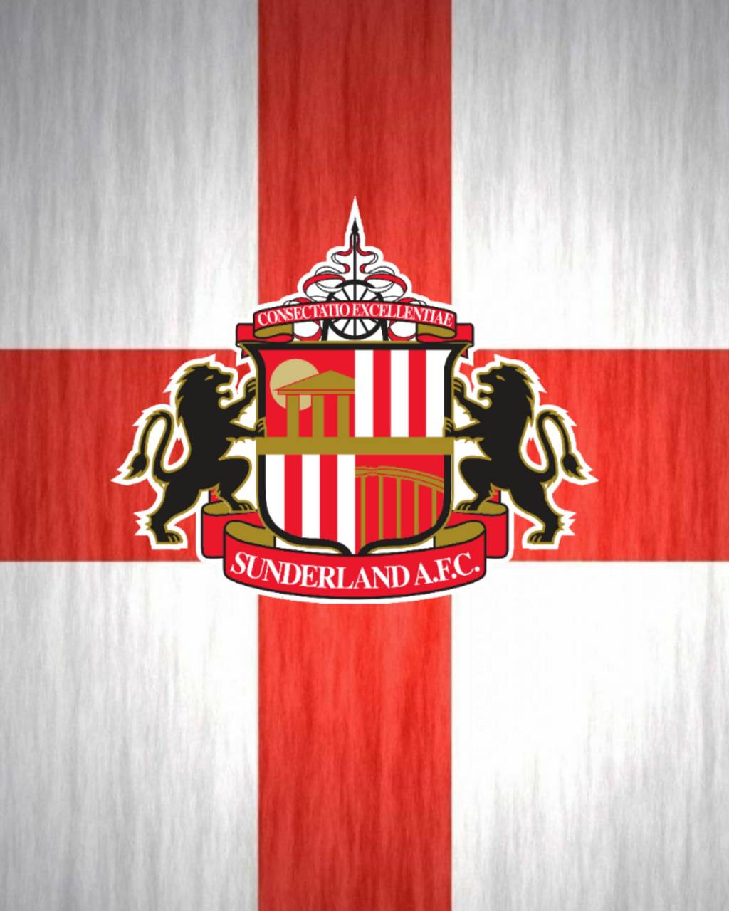 1024x1280 Sunderland fc wallpaper