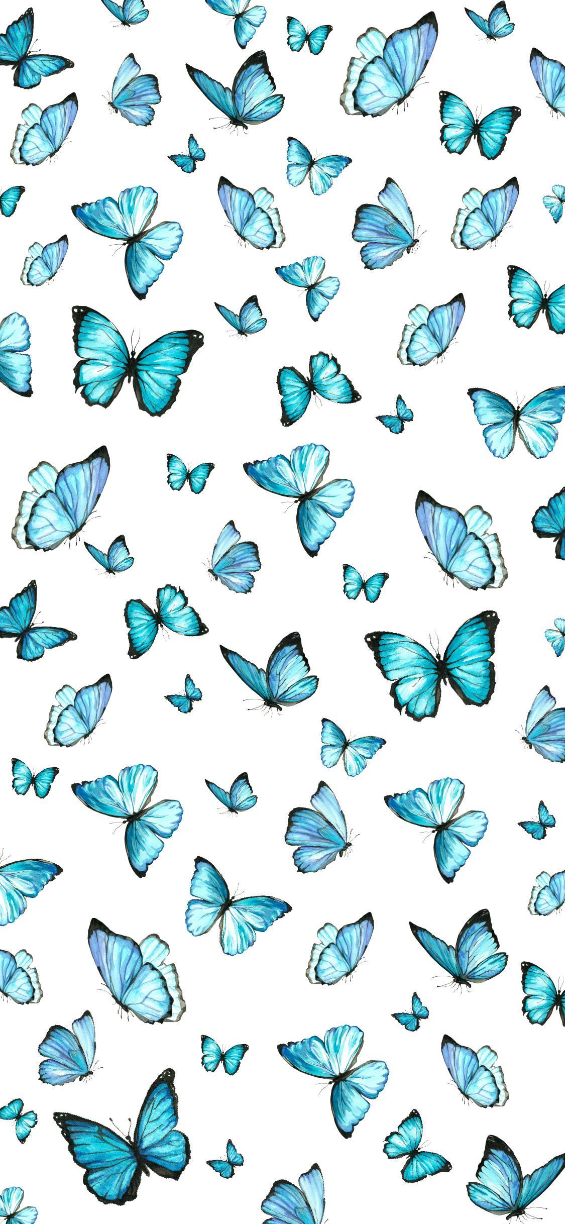 Fall Butterfly Wallpapers - Top Free Fall Butterfly Backgrounds ...