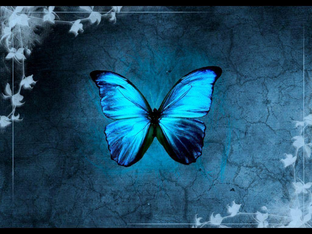 1024x768 Butterflies Wallpaper Luxury Blue butterfly Wallpaper for You of The Hudson