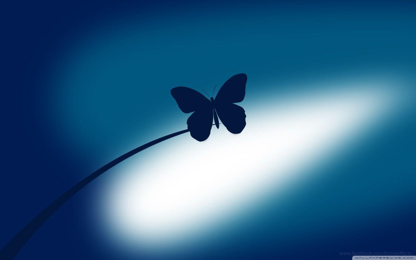 1440x900 Blue Butterfly Ultra HD Desktop Background Wallpaper for 4K UHD TV : Widescreen & UltraWide Desktop & Laptop : Tablet
