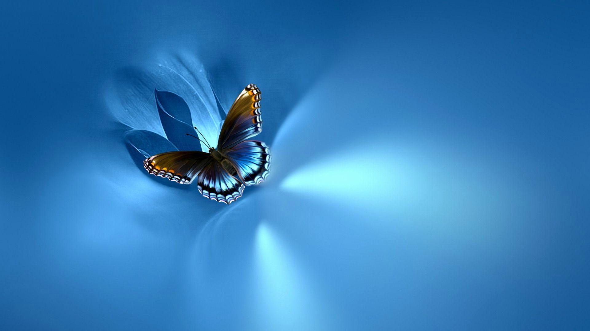 1920x1080 Butterflies Wallpaper Inspirational Blue butterfly Wallpaper HD Combination of The Hudson