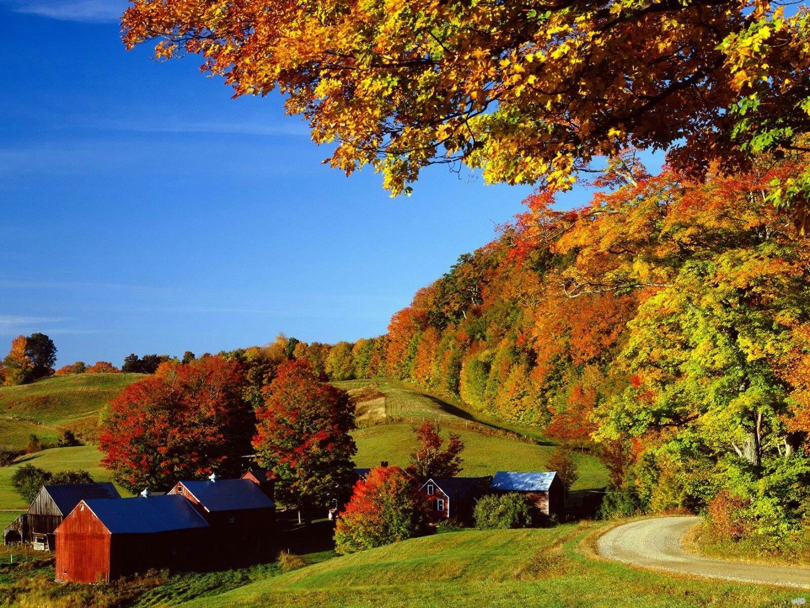 1600x1200 Autumn in vermont