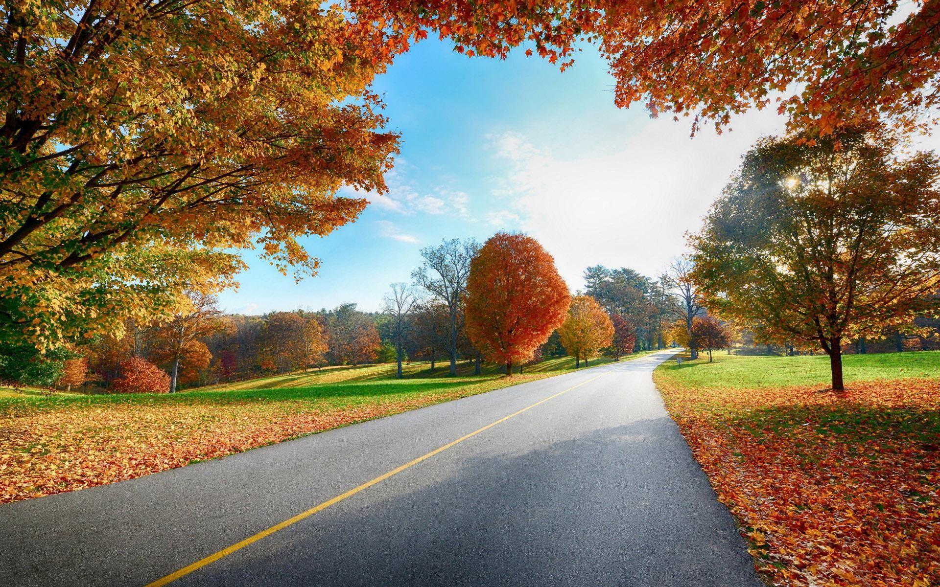1920x1200 Country Road Autumn Desktop Wallpaper