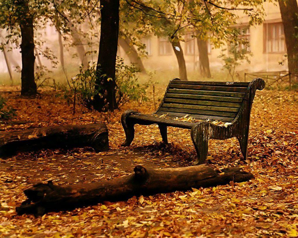 1024x819 Thanksgiving Wallpaper: November 2011