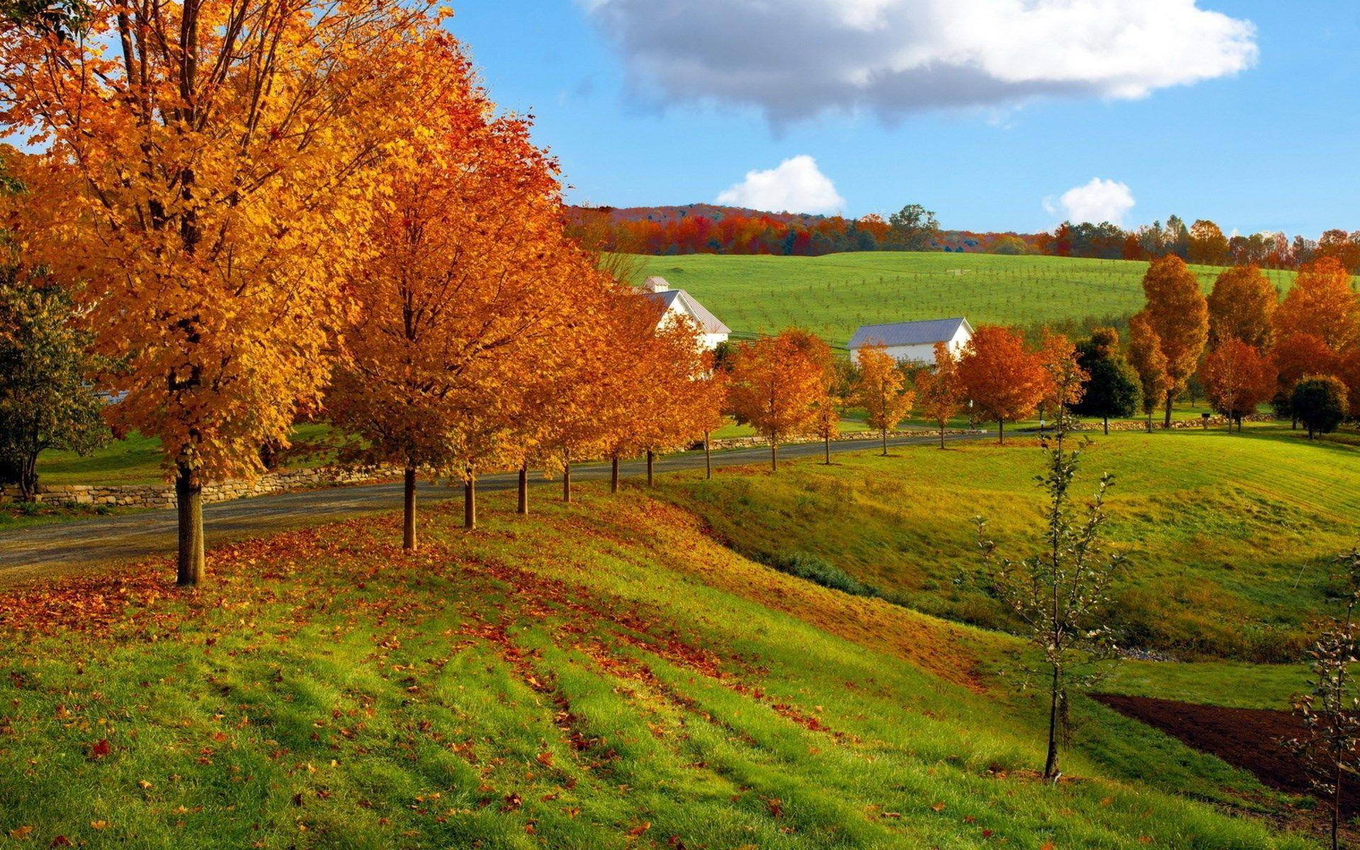 1920x1200 download free HD wallpaper of nature (1920x1200)
