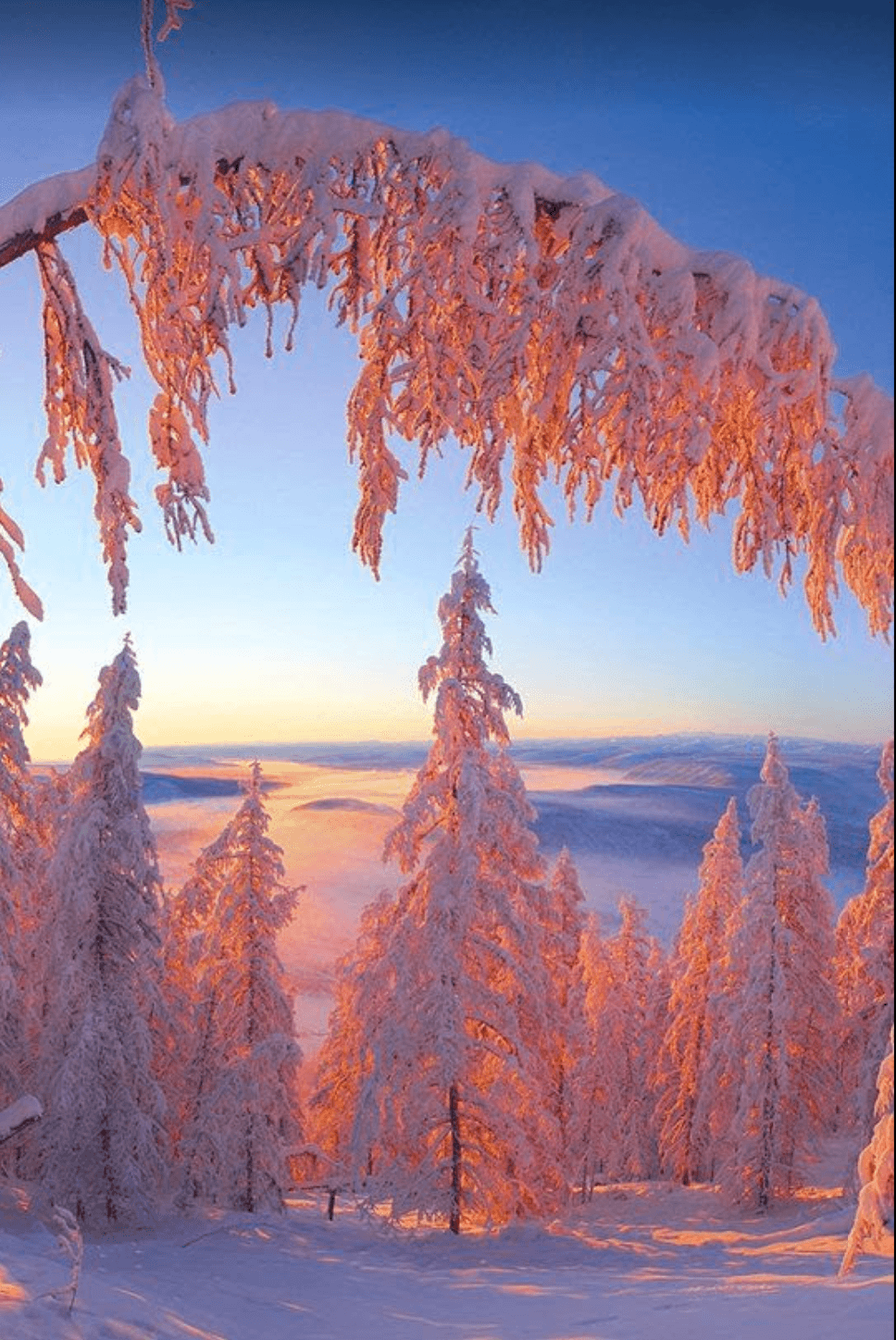 968x1448 winter. Winter, Nature scenes