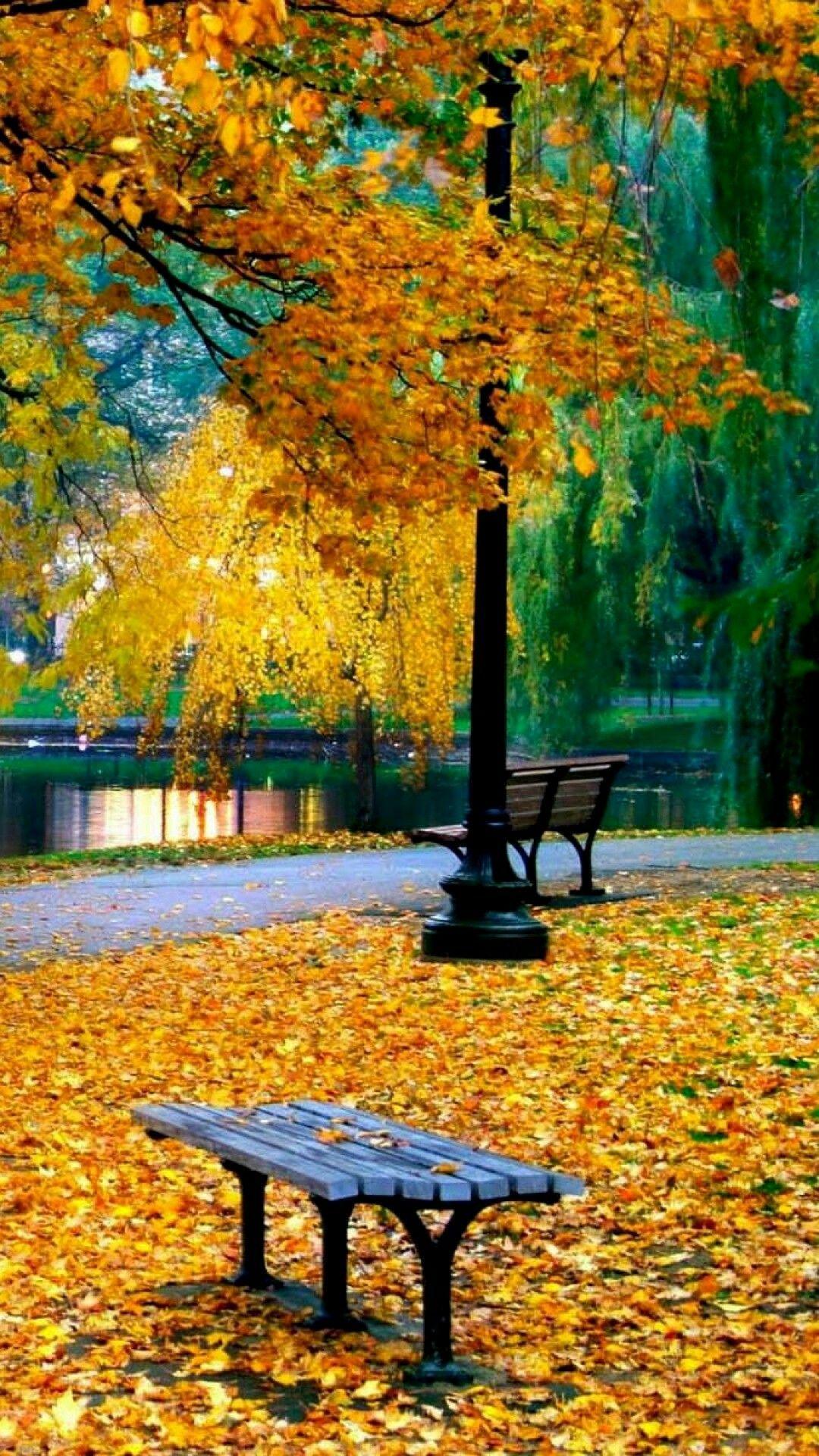 1080x1920 Beautiful Picture. Autumn