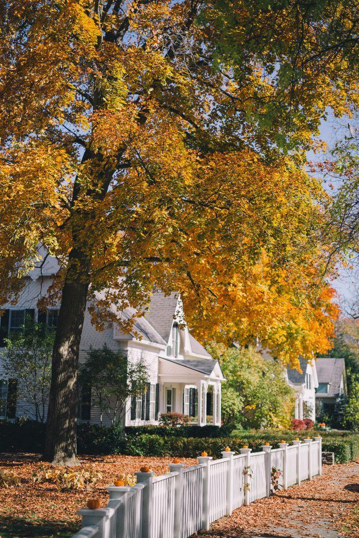 736x1101 best Vermont image. Nature, Stowe vermont