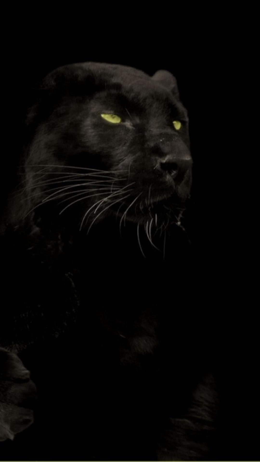 1080x1920 Black Panther Background HD. Black Wallpaper, Amazing Black Wallpaper and Black Victorian Wallpaper