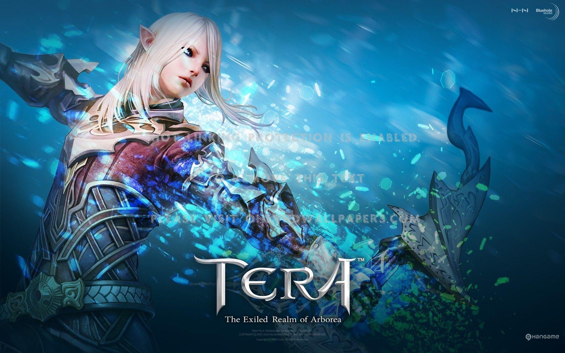 1920x1200 Archers Tera Mmorpg High Elf Tera HD Wallpaper