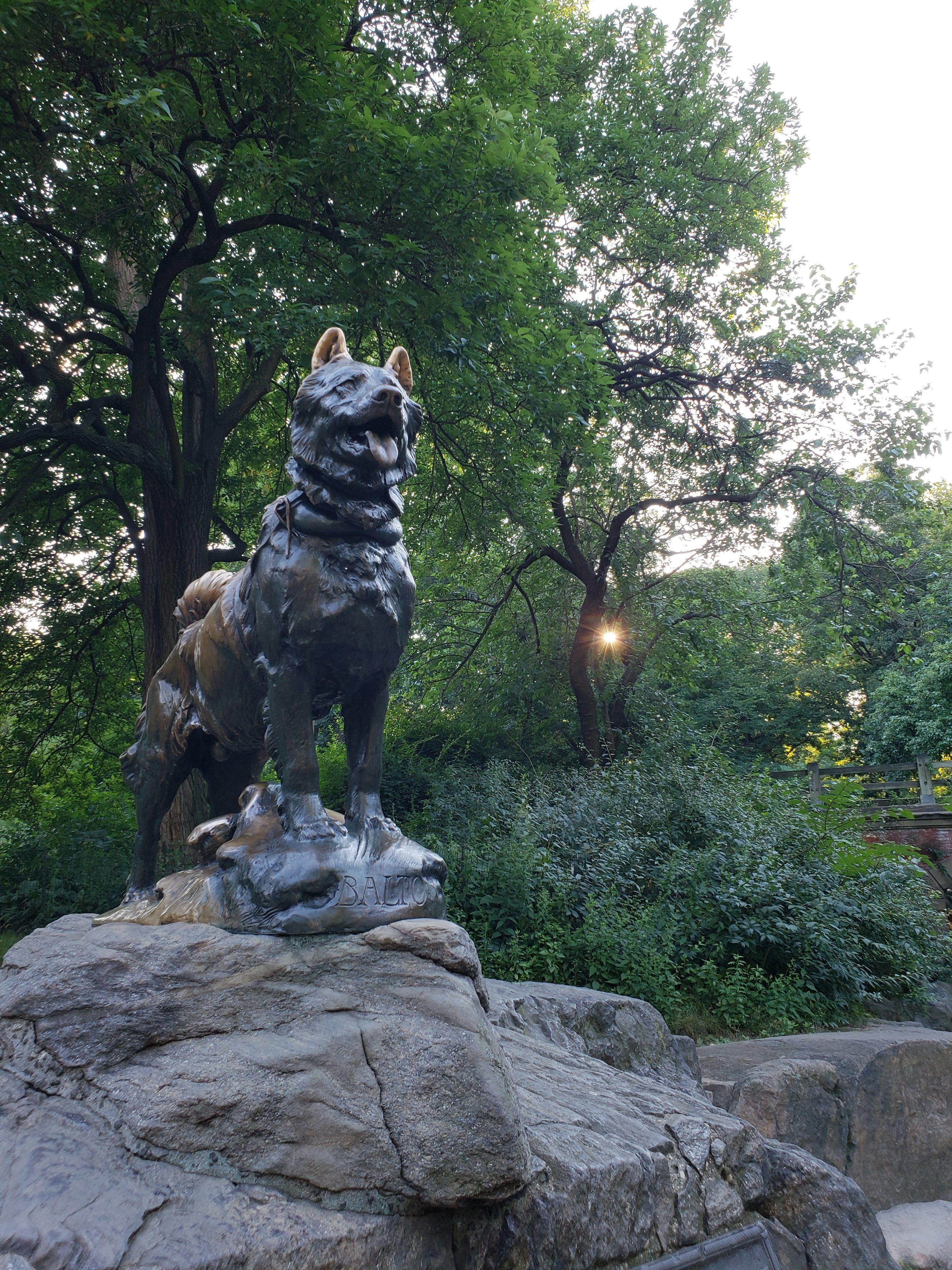 3024x4032 Free of Balto, central park, dog statue