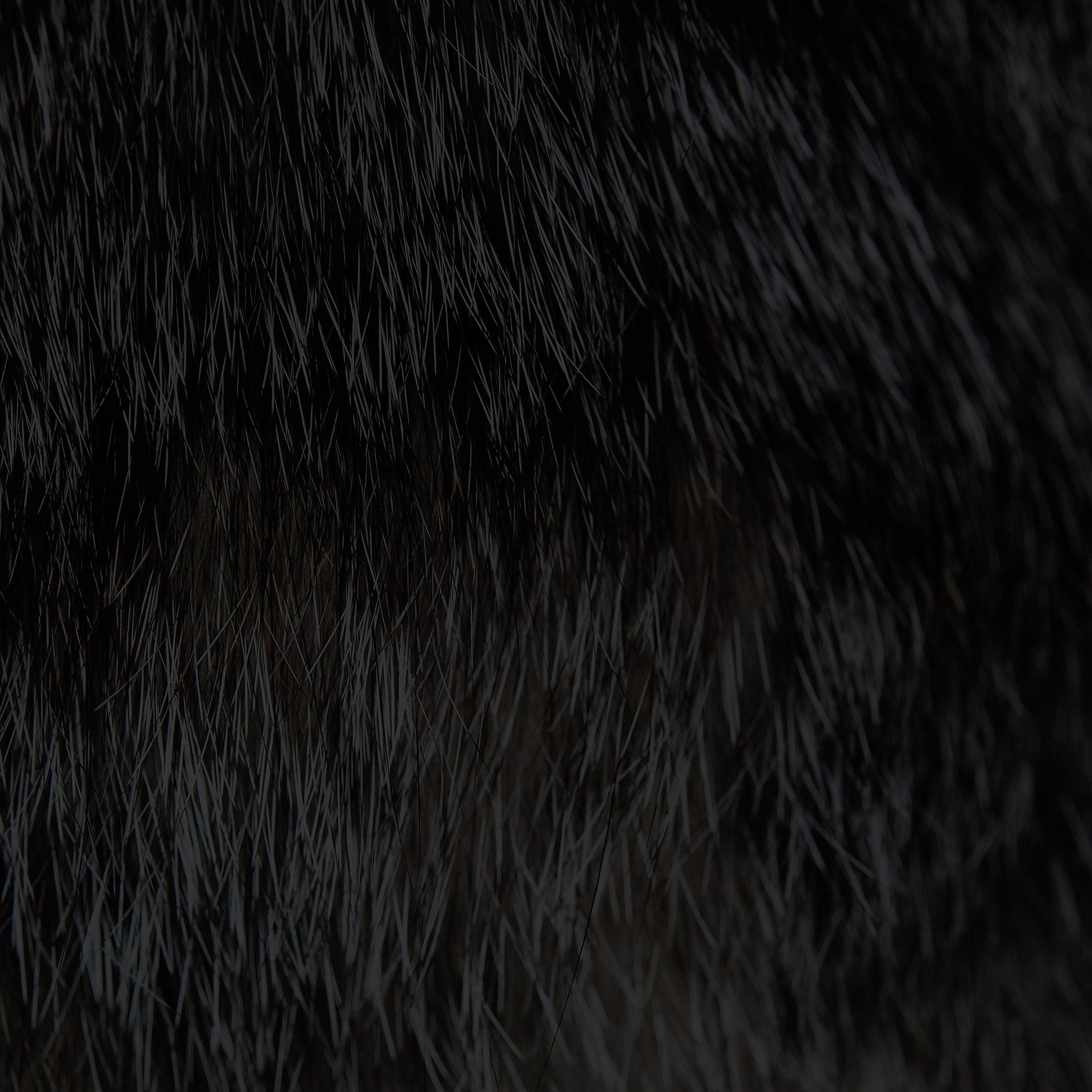 2732x2732 Wallpaper Cat Fur Rawrdis Black Pattern
