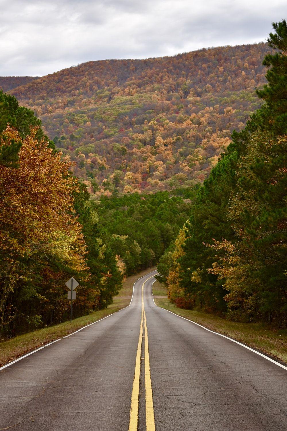 1000x1500 Road Background [HQ]. Download Free Image