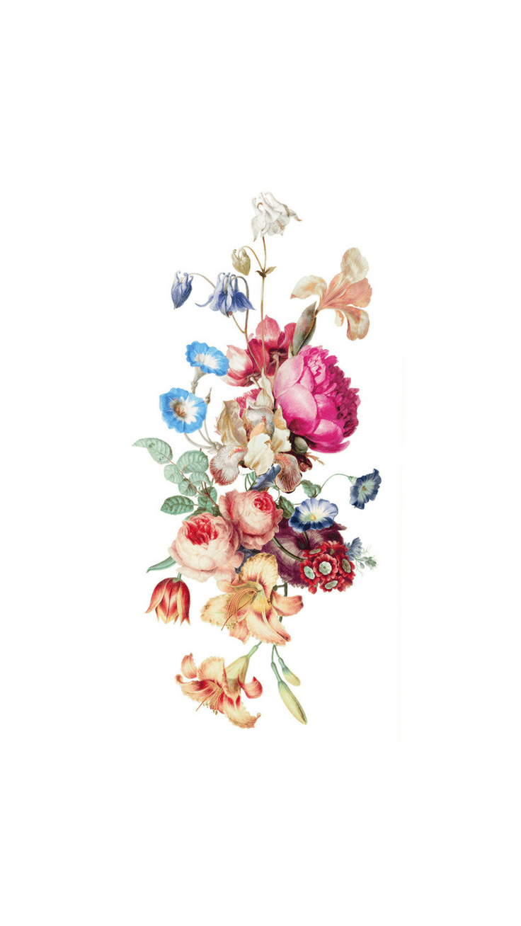 736x1308 Pretty Floral iPhone 8 & 8 Plus HD Wallpaper