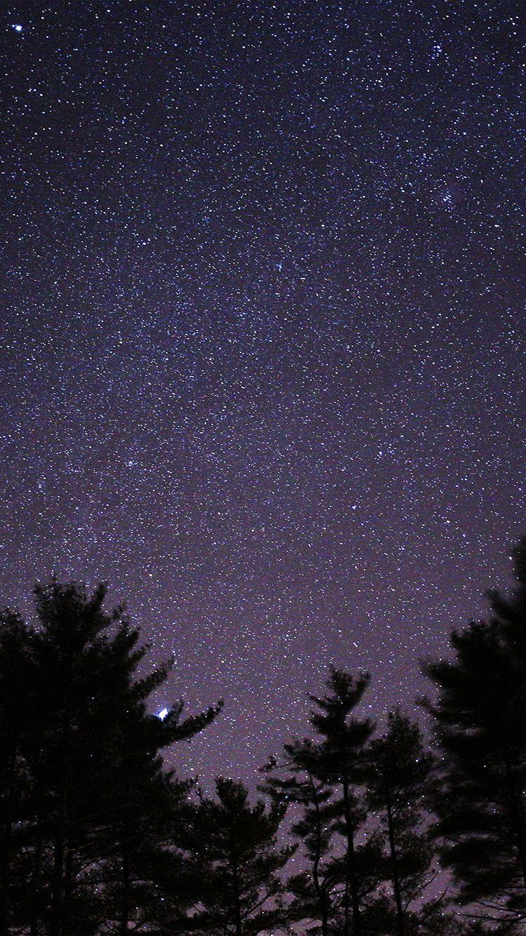 750x1334 iPhone wallpaper. night sky star space starry wood dark