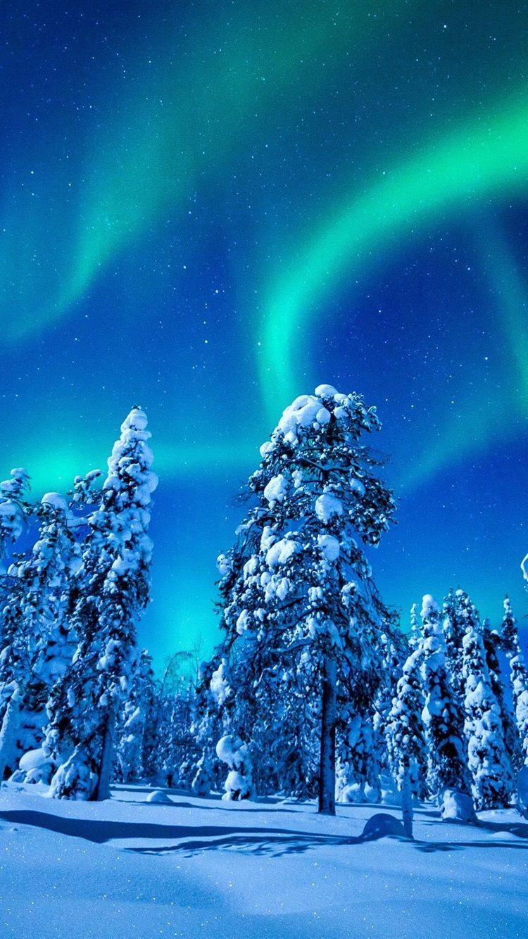 750x1334 Beautiful Northern Lights, Winter, Snow, Spruce, Trees, Night 750x1334 IPhone 8 7 6 6S Wallpaper, Background, Picture, Image