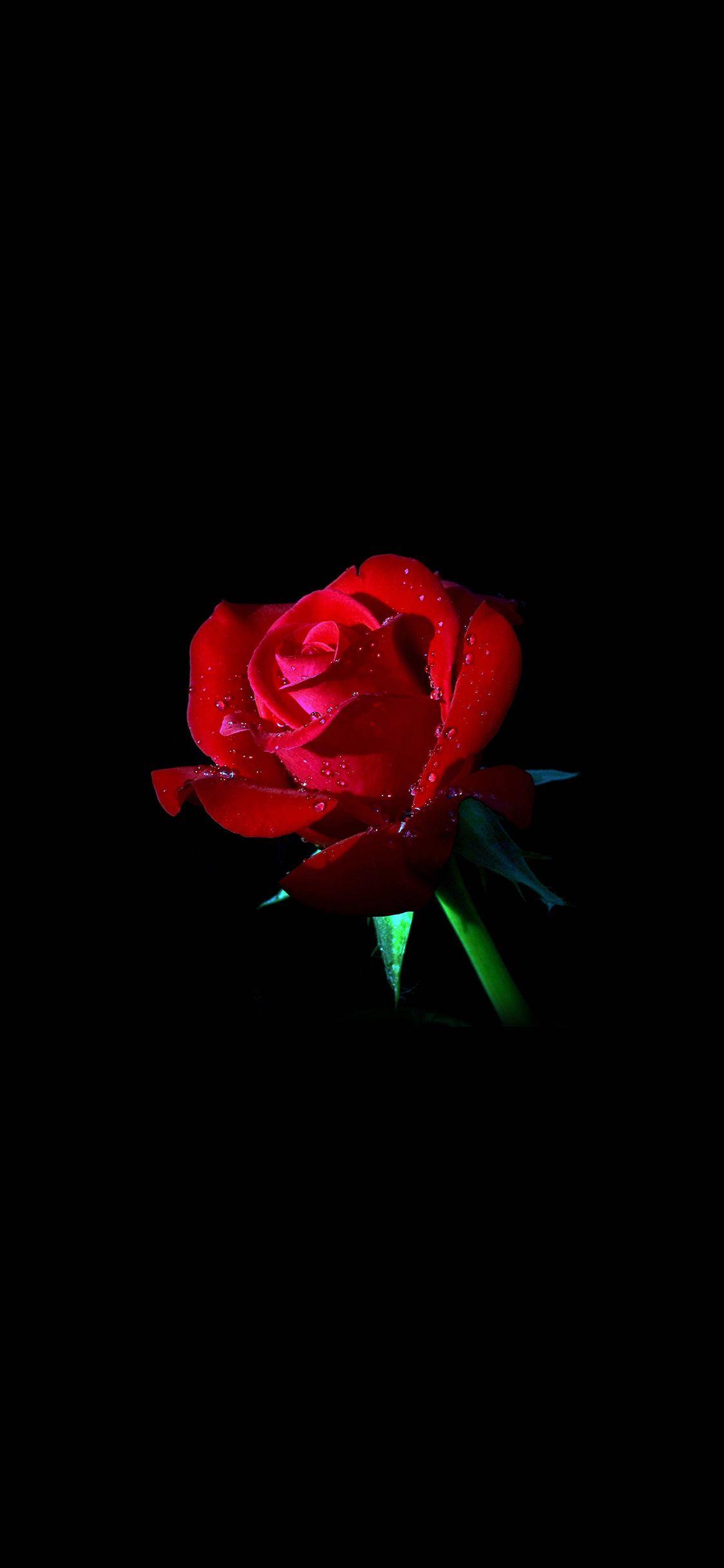 1125x2436 Cute iPhone Wallpaper