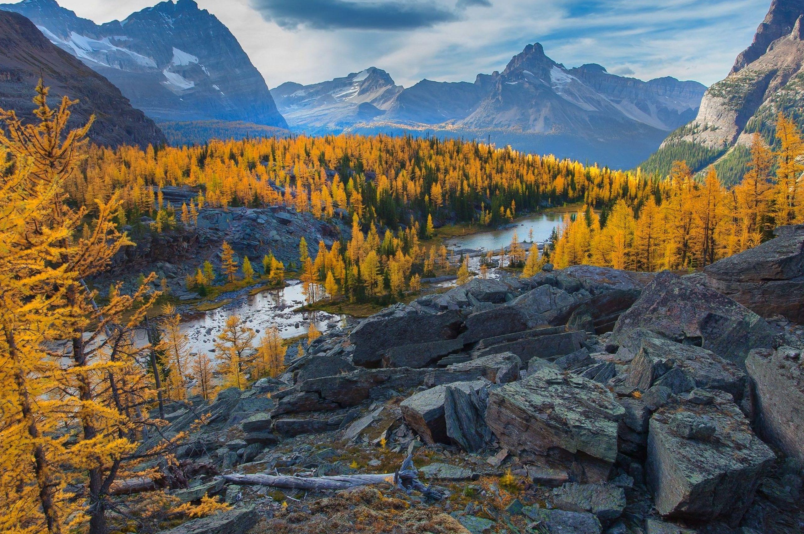 2560x1700 Free download british columbia canada nature 4k ultra HD wallpaper ololoshenka [4096x2160] for your Desktop, Mobile & Tablet. Explore British Columbia Canada Wallpaper. British Columbia Canada Wallpaper, British Columbia