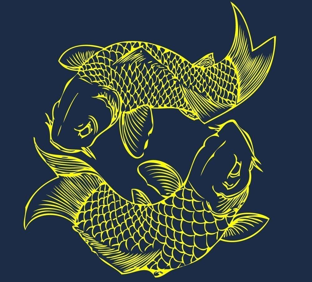 Green Koi Fish Wallpapers - Top Free Green Koi Fish Backgrounds