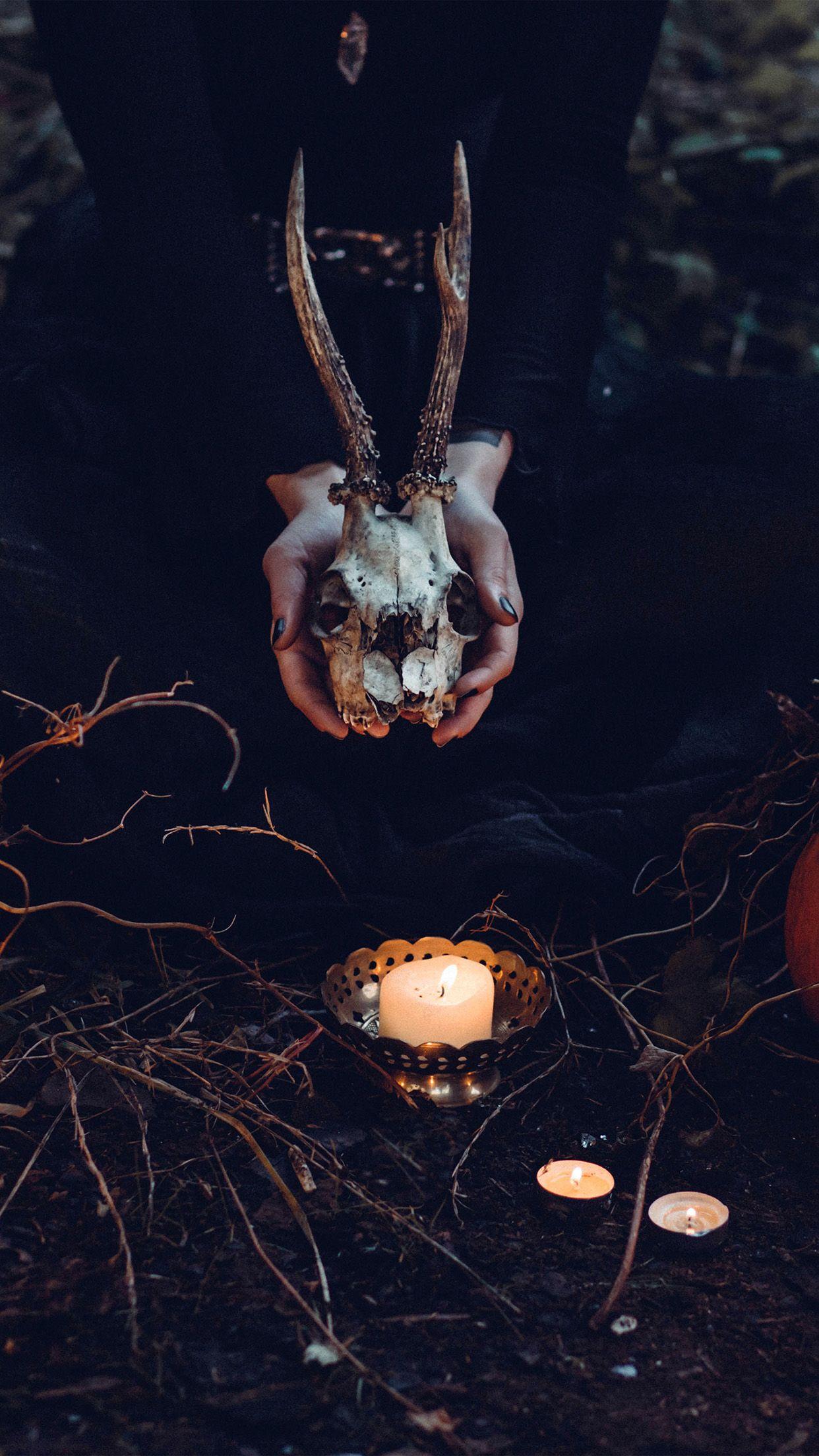1242x2208 Halloween Pumpkin Skull Dark Nature Wallpaper