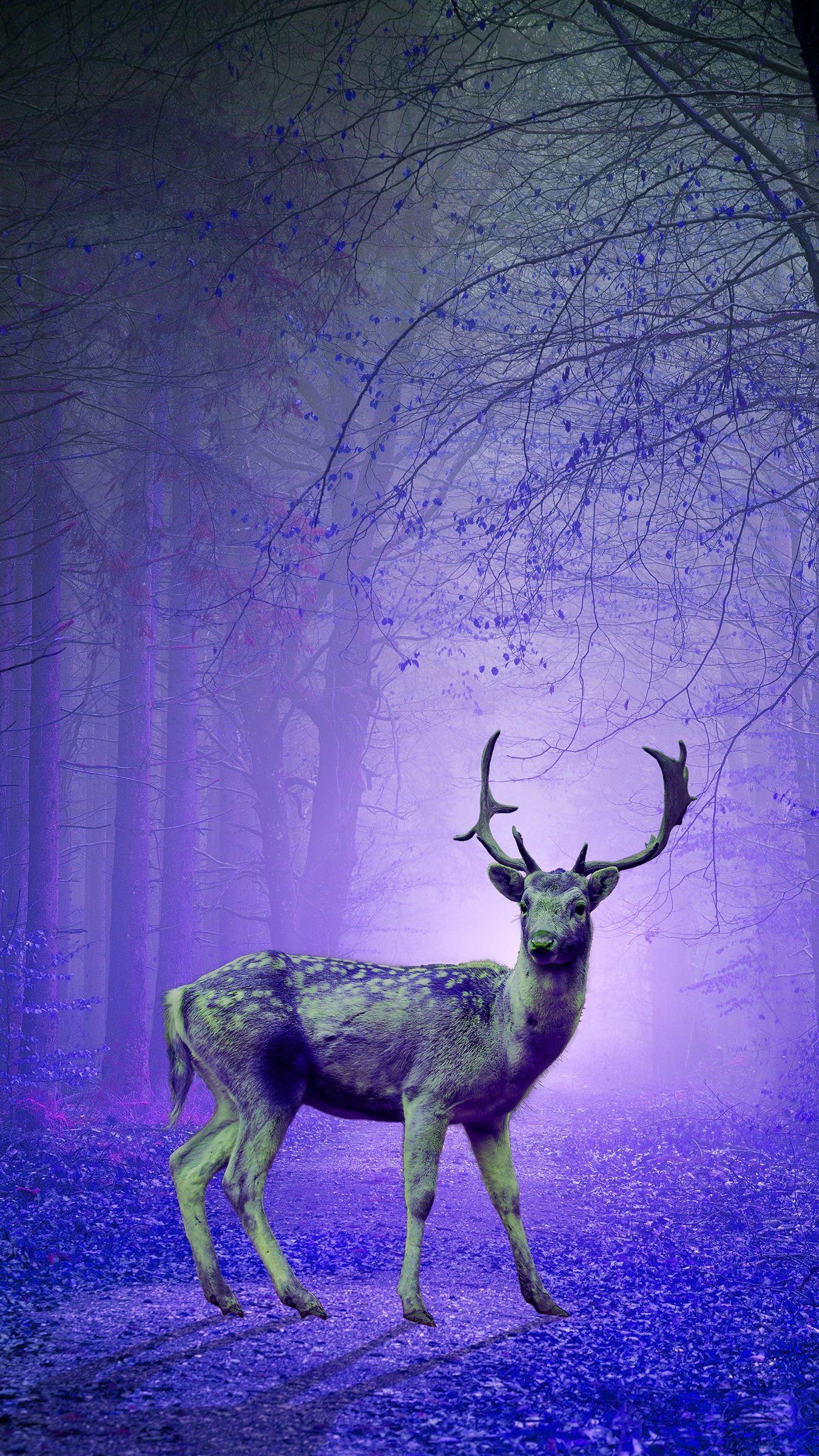 1350x2400 Download wallpaper 1350x2400 deer, forest, mystical, purple, photohop iphone 8+/7+/6s+/for parallax HD background