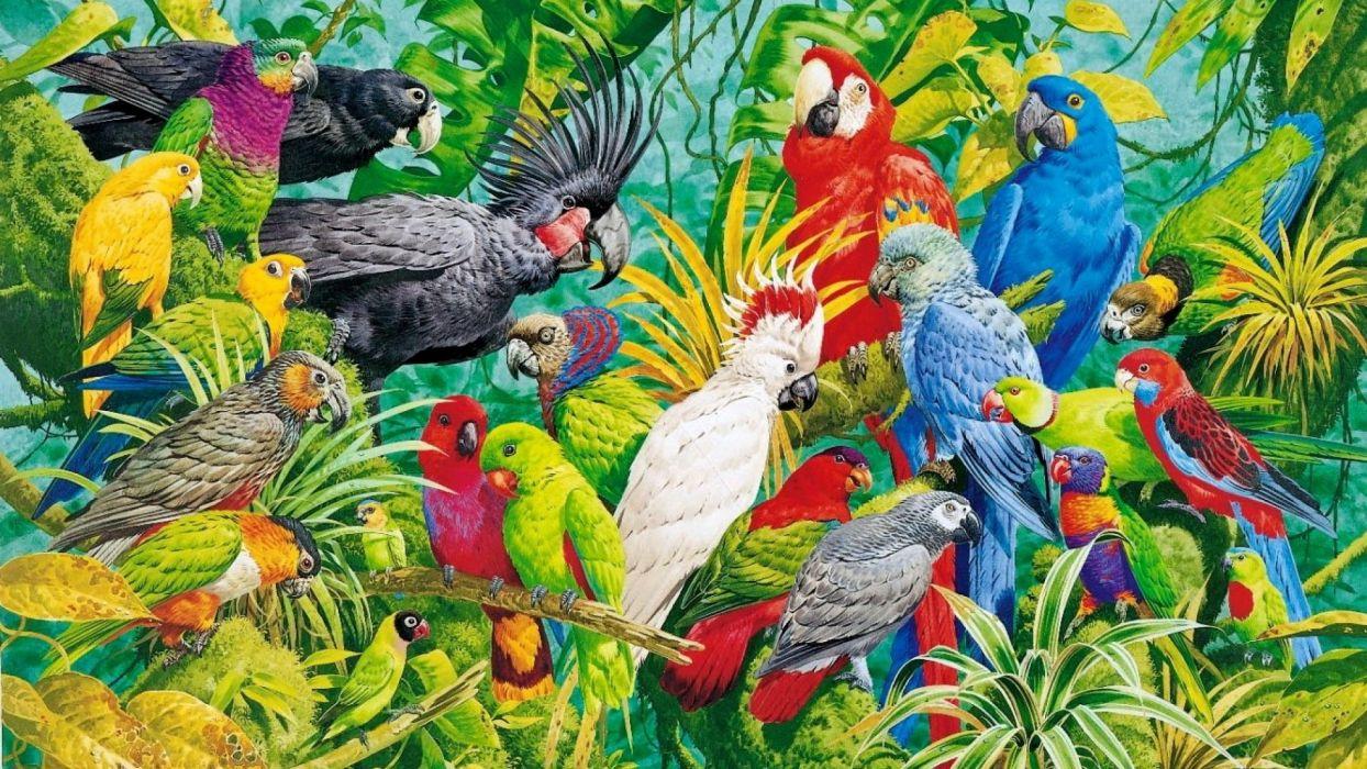 1244x700 Art oil painting drawing Parrots Paradise wallpaperx1080