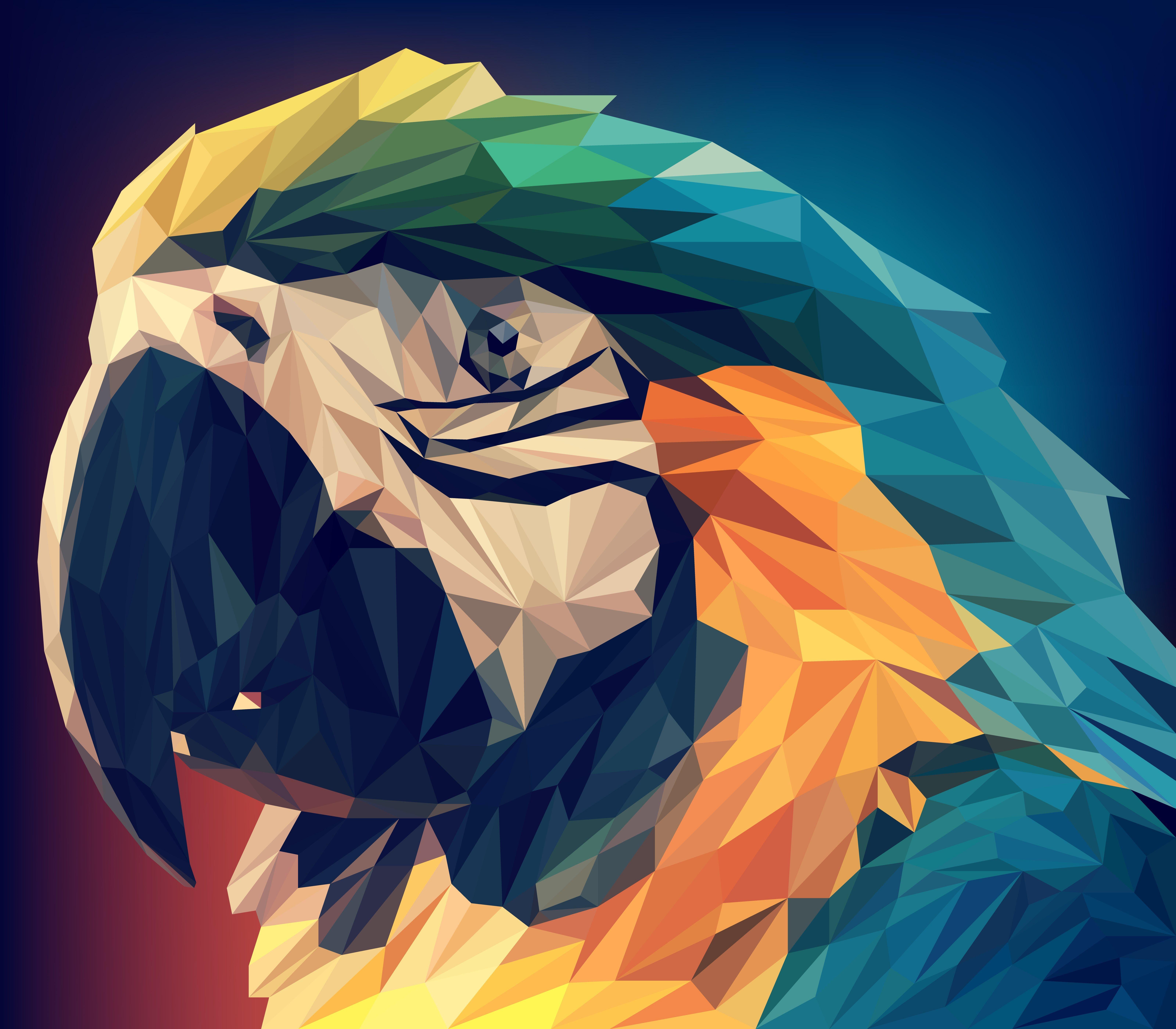 6400x5600 Parrot Low Poly, HD Artist, 4k Wallpaper, Image, Background, Photo and Picture