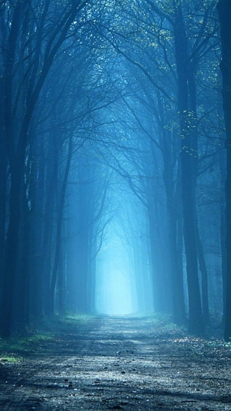 750x1334 Free download Landscapes nature forest foggy mystic wallpaper 60357 [750x1334] for your Desktop, Mobile & Tablet. Explore Foggy Forest iPhone Wallpaper. Forest Wallpaper for Computer, Beautiful Forest Wallpaper, Fog Forest Wallpaper