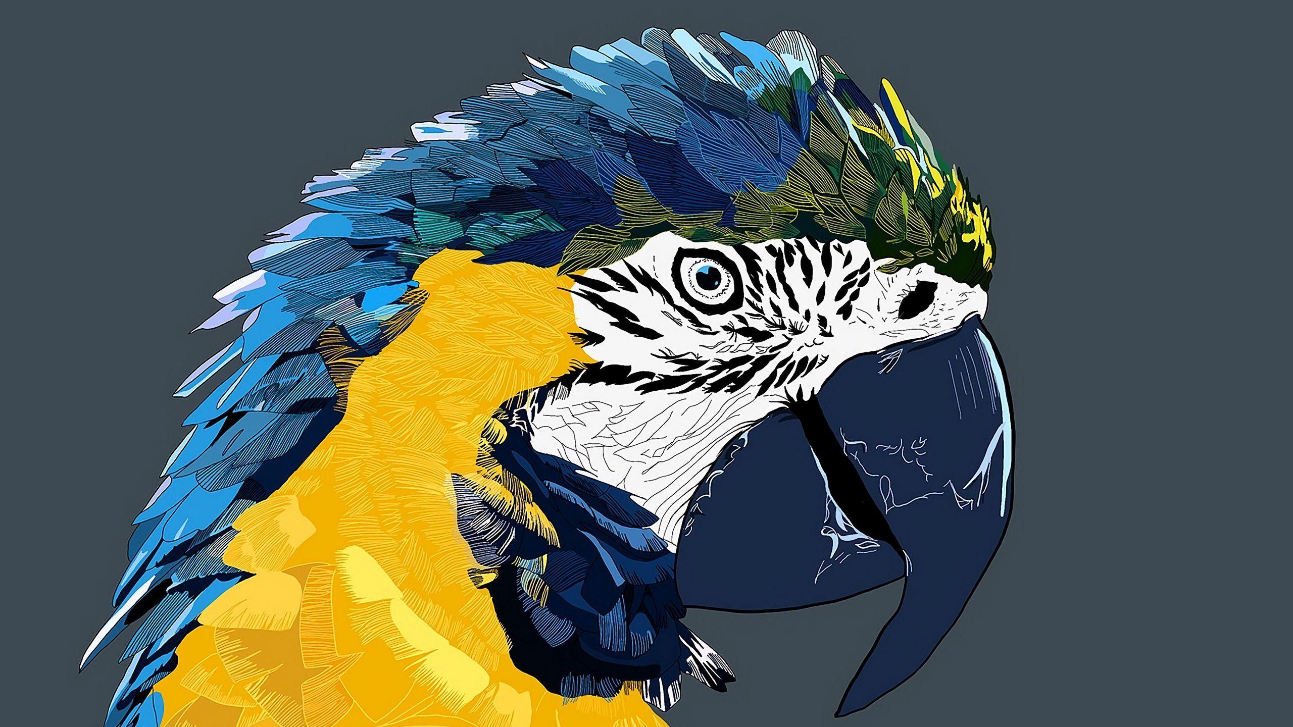 2560x1440 Download wallpaper 2560x1440 parrot, macaw, art, bird widescreen 16:9 HD background