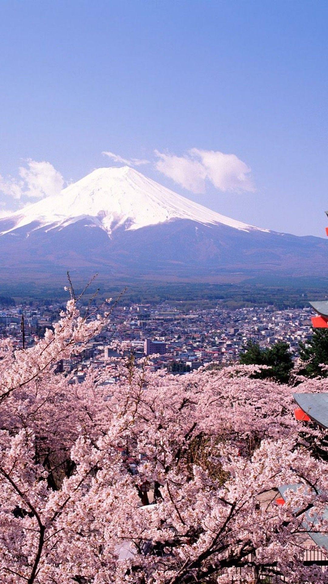 1080x1920 Mount Fuji with cherry blossom