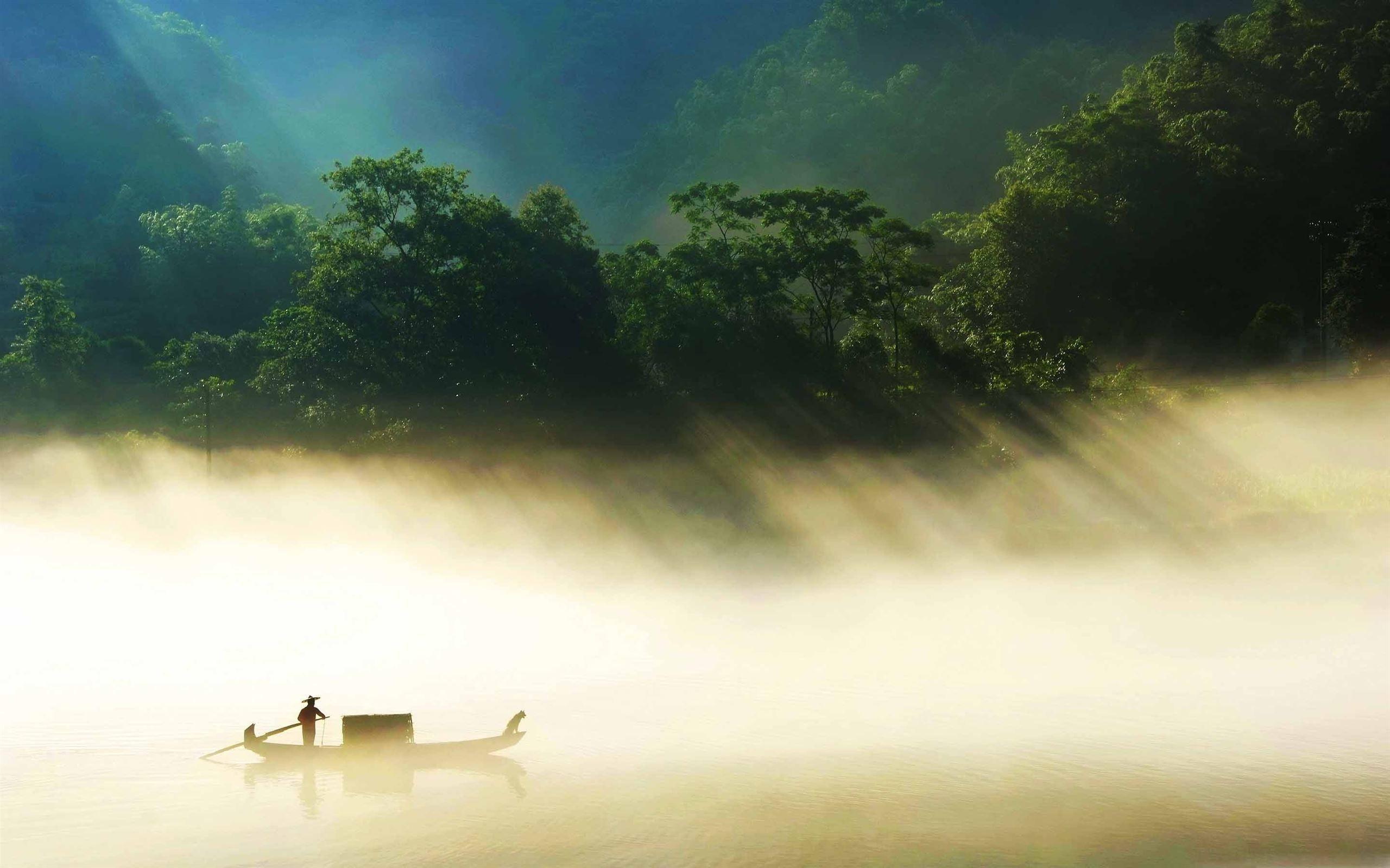 2560x1600 Best jungle Mac Wallpaper Free HD Download