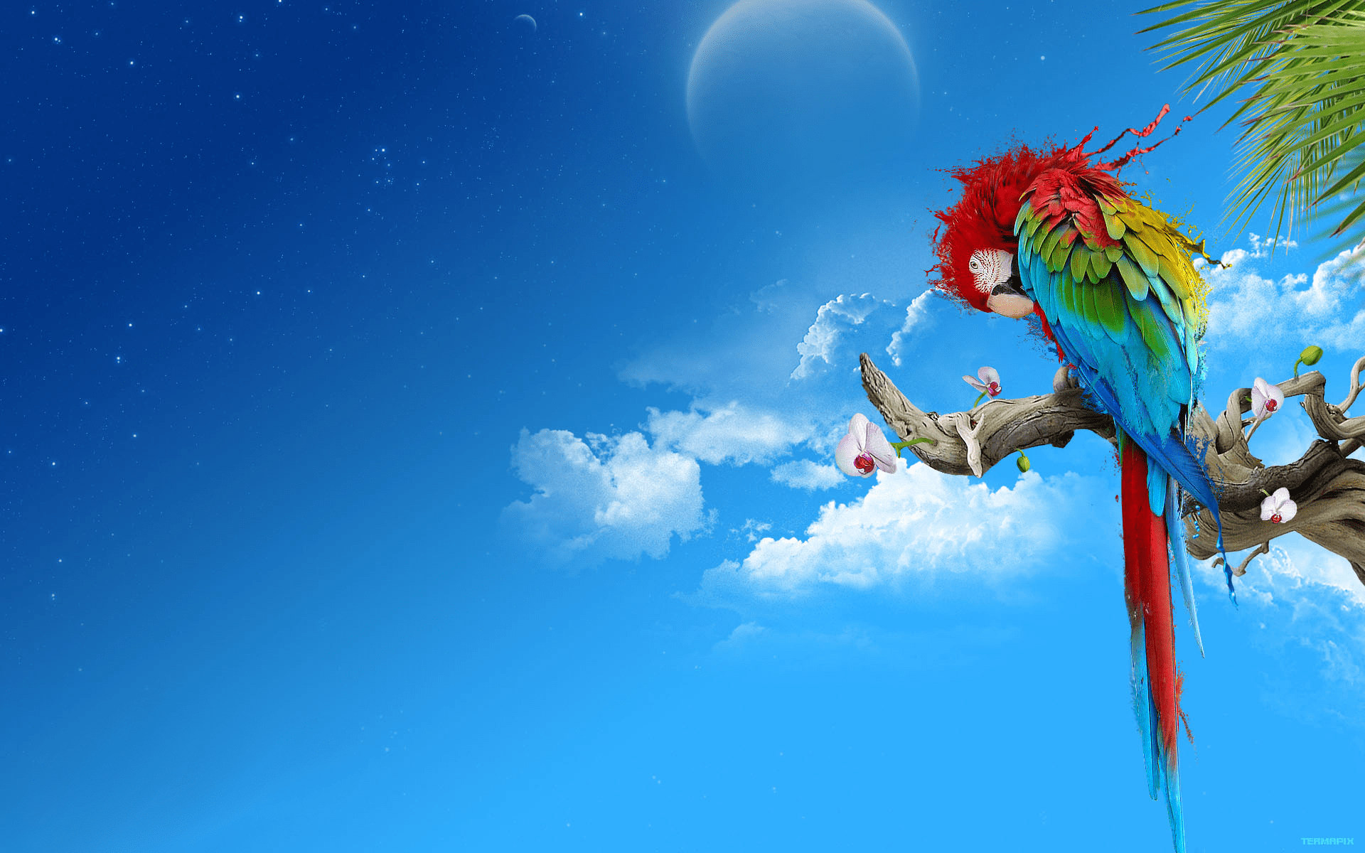 1920x1200 Digital Parrot Art. Parrot wallpaper, Photohop wallpaper, New wallpaper hd