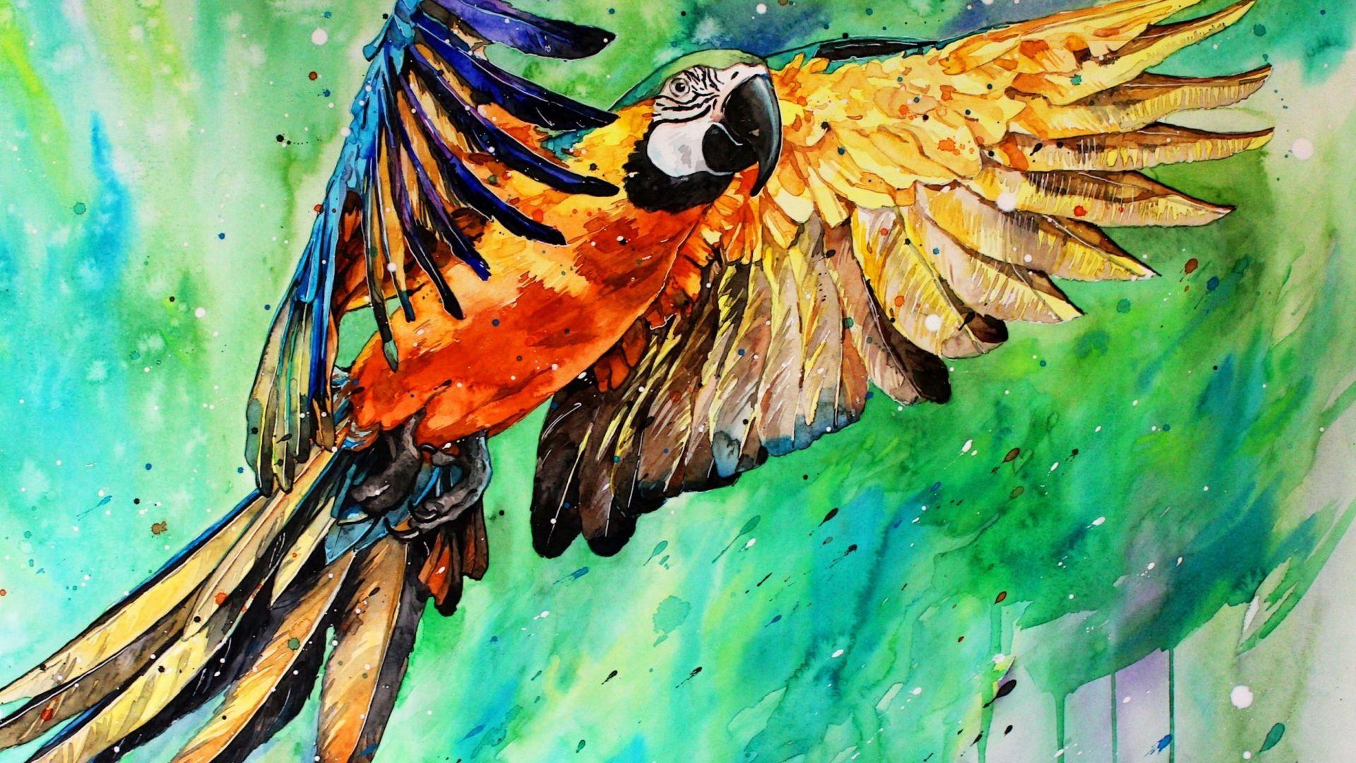 1920x1080 Desktop wallpaper macaw, parrot, art, HD image, picture, background, c5c233