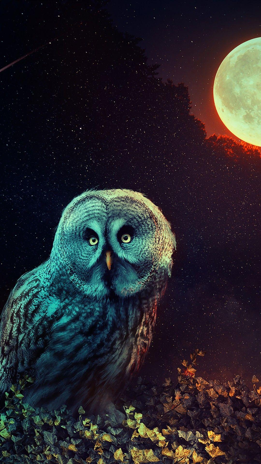 1080x1920 Mystic Owl Wallpaper