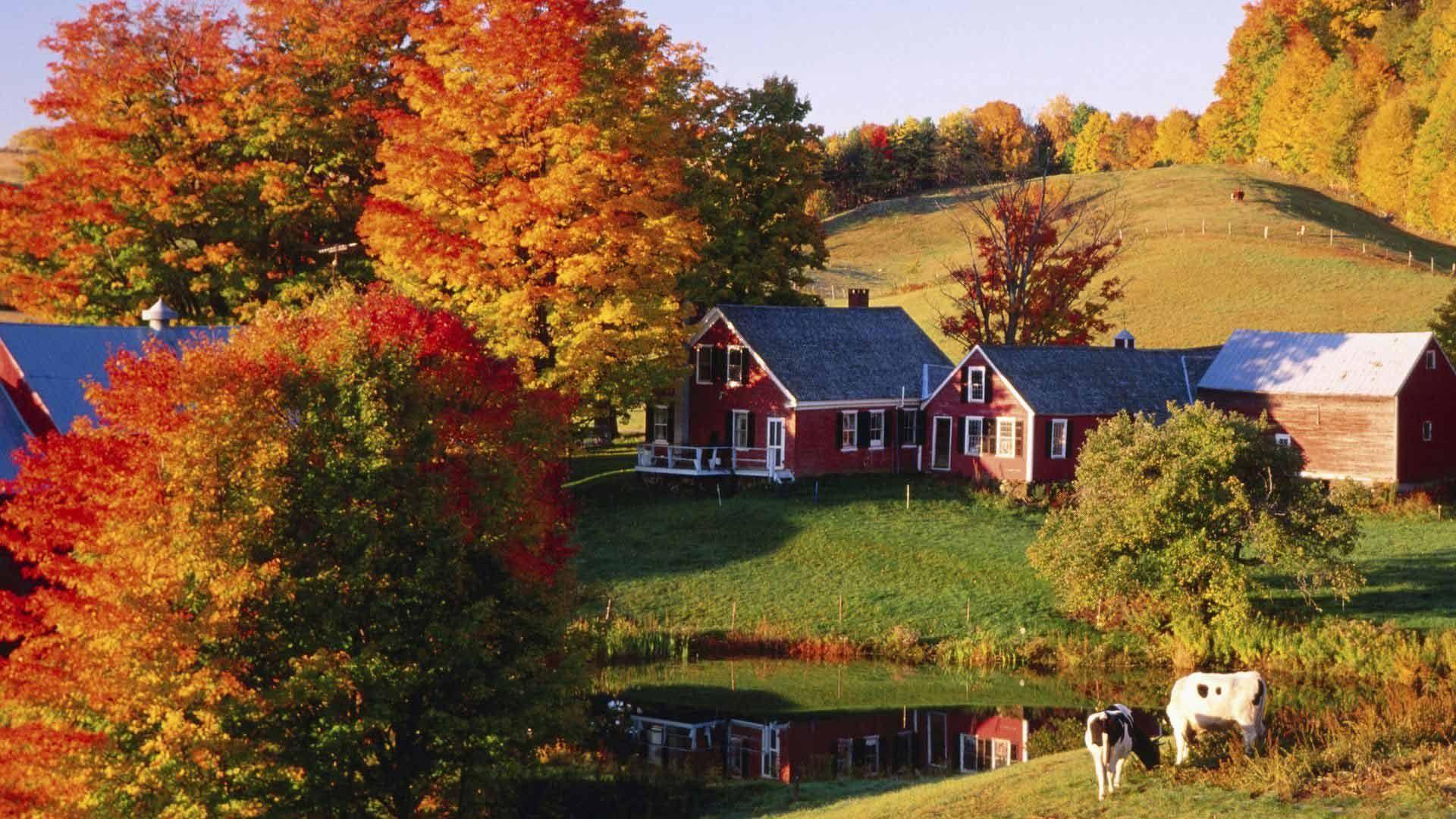 1920x1080 Beautiful Autumn HD Wallpaper 1920x1080