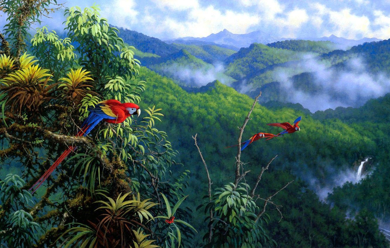 1332x850 Wallpaper leaves, clouds, mountains, birds, branches, nature, fog, hills, figure, waterfall, picture, art, parrot, parrots, painting, forest image for desktop, section живопись