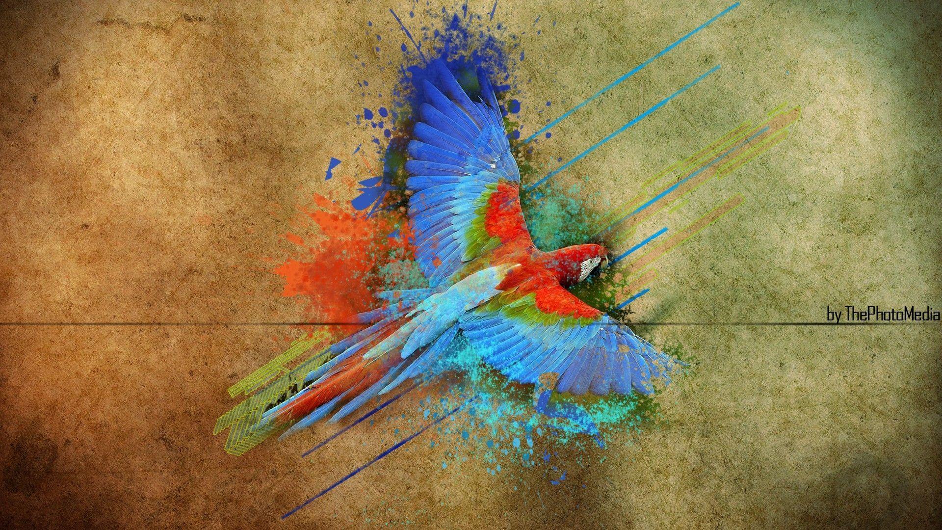 1920x1080 parrots colors speed art blue hole 1920x1080 wallpaper High Quality Wallpaper, High Definition Wallpaper