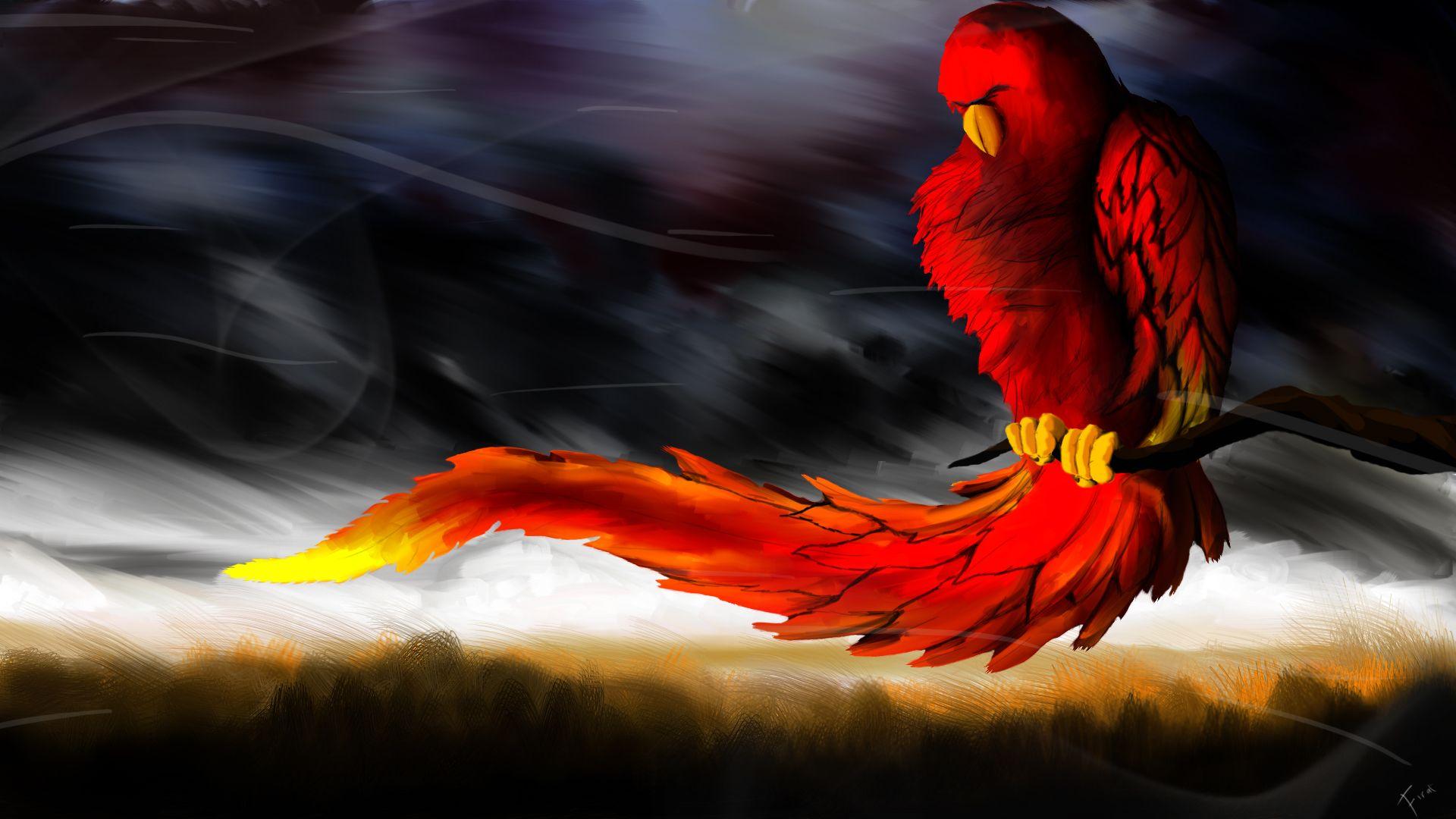 1920x1080 Download 1920x1080 Parrot Cool Wallpaper Art HD