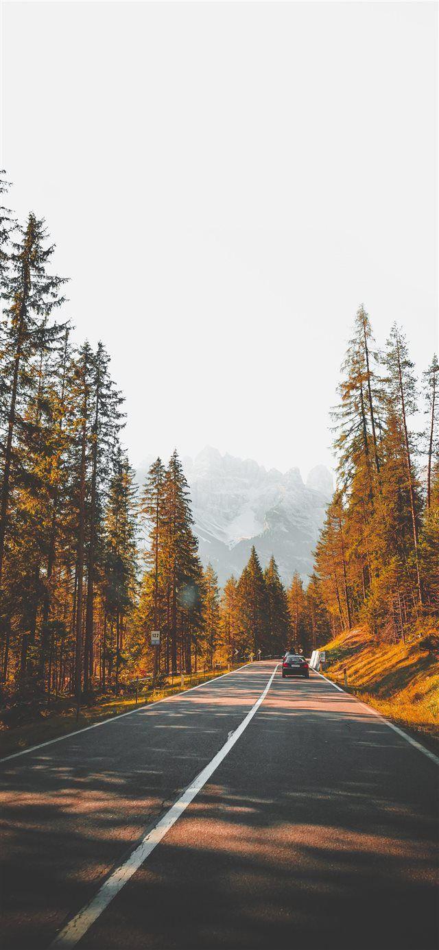 640x1385 South Tyrol 1 iPhone X wallpaper #nature #street #outdoor #roadtrip #SouthTyro. Blog - #IP. iPhone wallpaper fall, Fall wallpaper, Aesthetic wallpaper