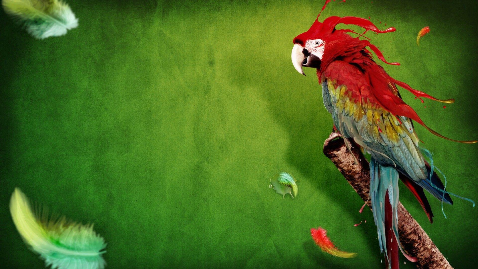 1920x1080 macaws, Animals, Digital Art, Birds, Parrot, Feathers Wallpaper HD / Desktop and Mobile Background
