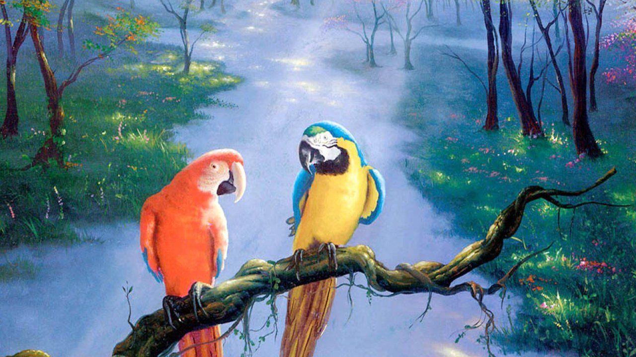 1280x720 Parrot, Beautiful, Art, Painting, HD, Wallpaper, Absract, Artworks, Best Arts Ever, Historical Image, Cool Paints, Widescreen, iPhone Backg
